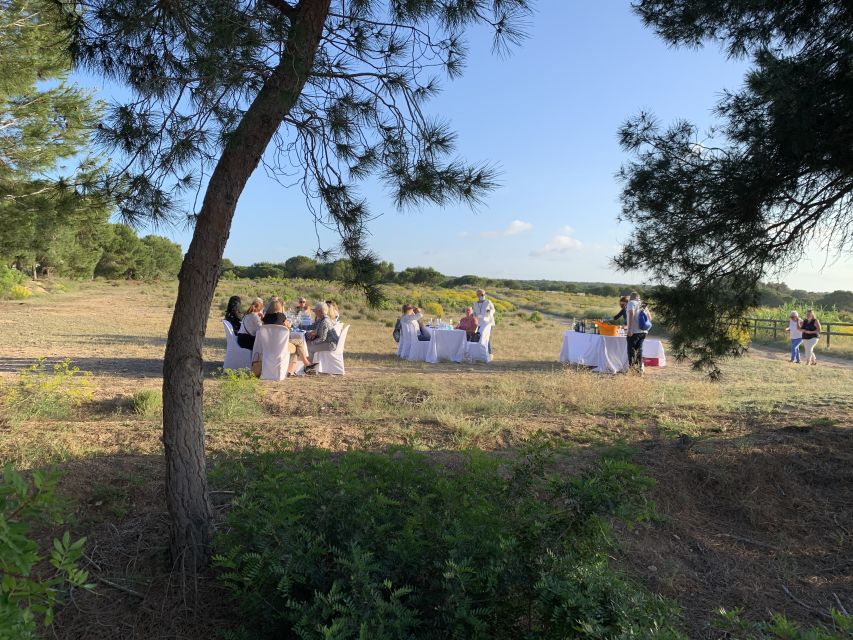 Torrevieja: Local Wine and Food Tasting Tour in La Mata Park - The lagoon and the chance to see flamingos
