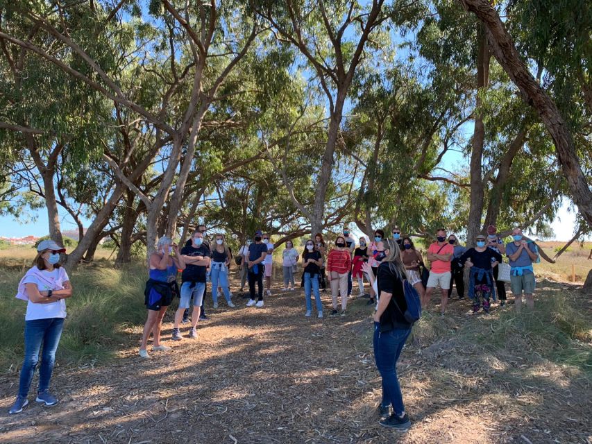 Torrevieja: Local Wine and Food Tasting Tour in La Mata Park - Olive oils, goat cheese, and two tapas