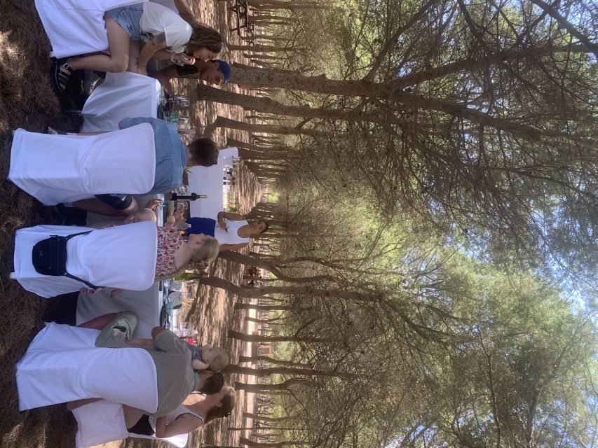 Torrevieja: Local Wine and Food Tasting Tour in La Mata Park - Following the vineyard route through La Mata