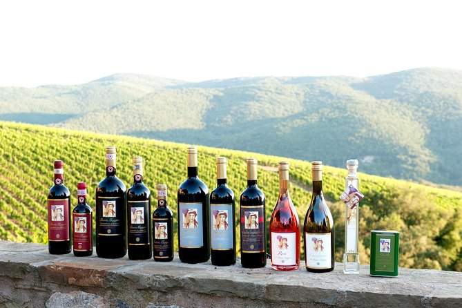 Tour and Tasting at an Organic Winery in the Heart of Chianti Classico Area - Key points to know before you go