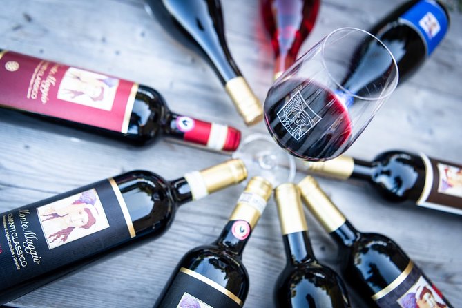 Tour and Tasting at an Organic Winery in the Heart of Chianti Classico Area - A working organic winery above Chianti