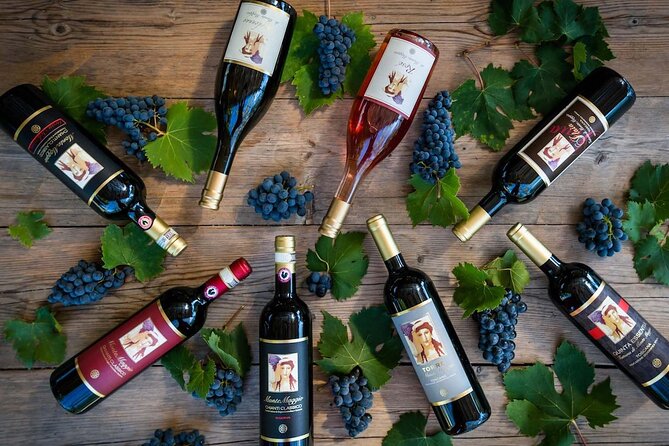 Tour and Tasting at an Organic Winery in the Heart of Chianti Classico Area - Tasting five or more wines with Tuscan food