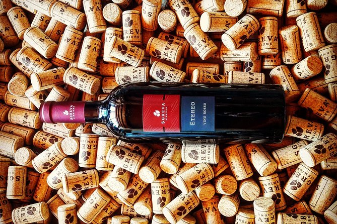 Tour in the Winery and tasting - Why the $35.68 price offers good value