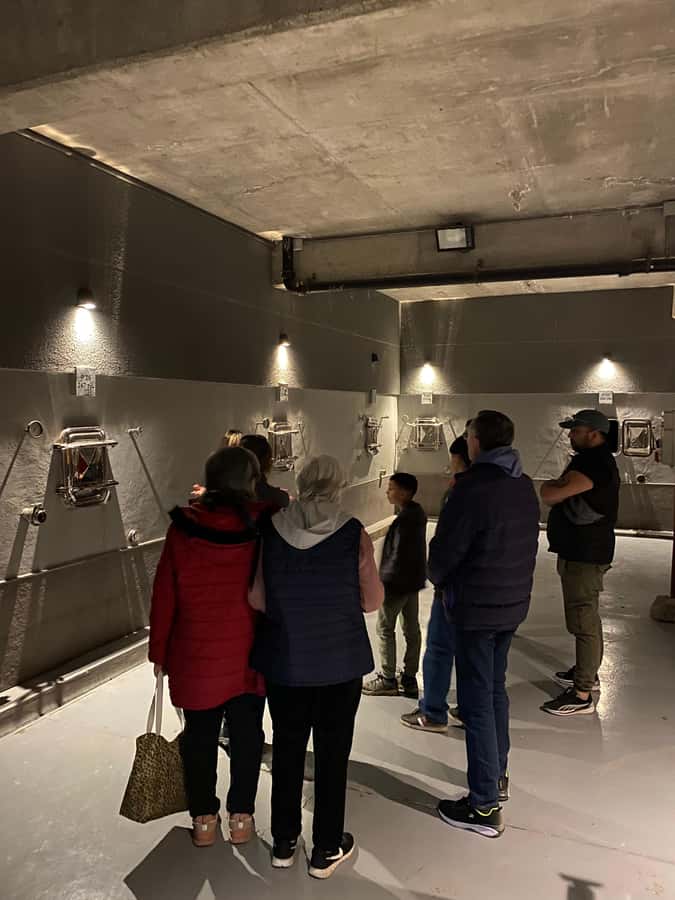 Tour of 3 wineries in Maipú with lunch + olive groves - Why Maipú Works for a First Wine Day