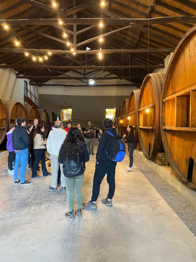 Tour of 3 wineries in Maipú with lunch + olive groves - Esencia 1870 and the Two-Hour Lunch
