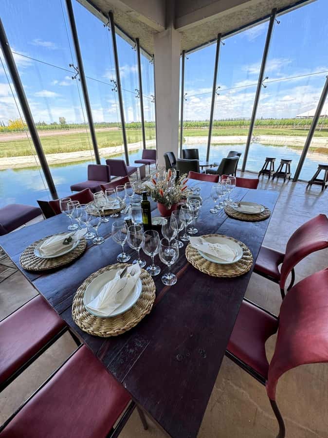 Tour of 3 wineries in Maipú with lunch + olive groves - Should You Book This Maipú Tour?