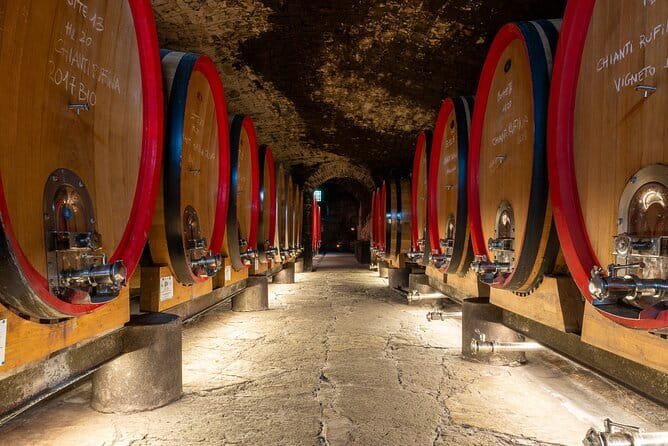 Tour of 900year old secret cellars + tasting of 3 wines and bread with EVO oil - Why this castle visit is different from a city wine bar