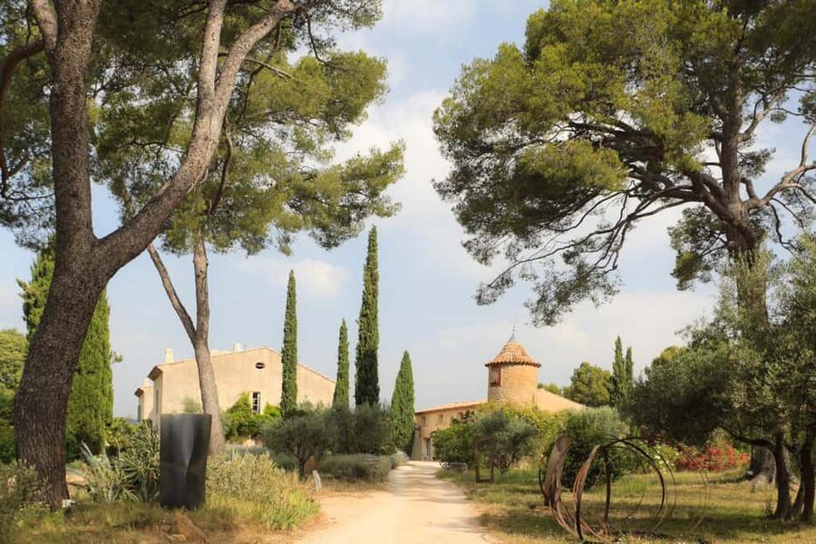 Tour of the Bandol and Côtes de Provence vineyards + Lunch - First stop: the Bandol estate