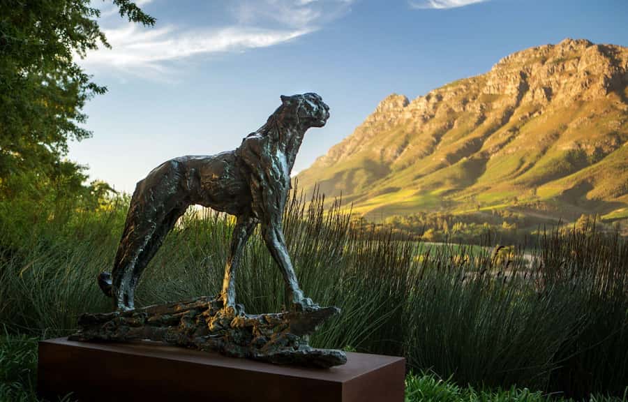 Tour the Winelands: Stellenbosch to Franschhoek - Tokara adds views and winemaking technique