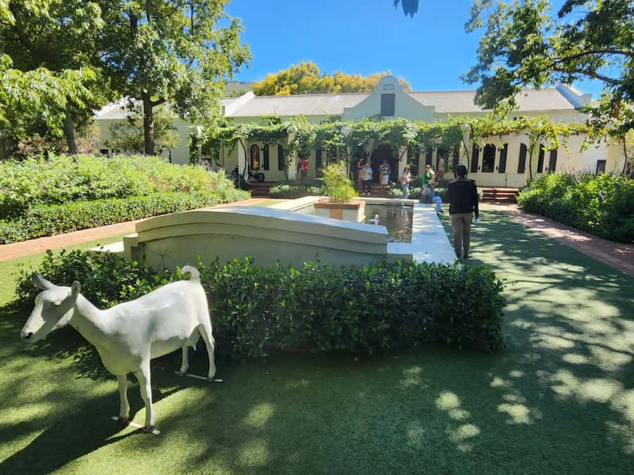 Tour the Winelands: Stellenbosch to Franschhoek - Fairview starts the day with cheese, not just wine