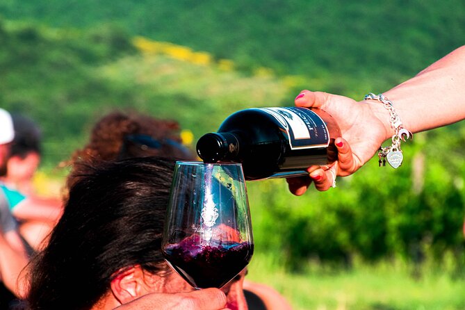 Tour through the vineyards and wine and olive oil tasting in Tuscany - The vineyard walk depends on the weather