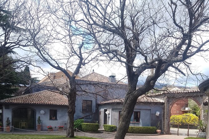 Tour two wineries of Etna wine tasting and lunch - Why Etna makes this more than a winery day