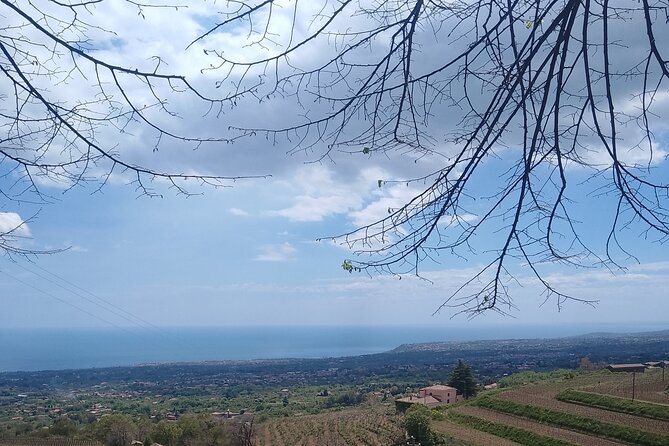 Tour two wineries of Etna wine tasting and lunch - Weather, participation, and cancellation