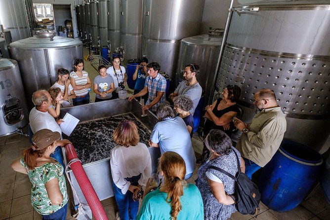 Tour & Wine tasting - Authentic Algarve Flavours by Quinta da Tôr - From Faro to the hills near Loulé