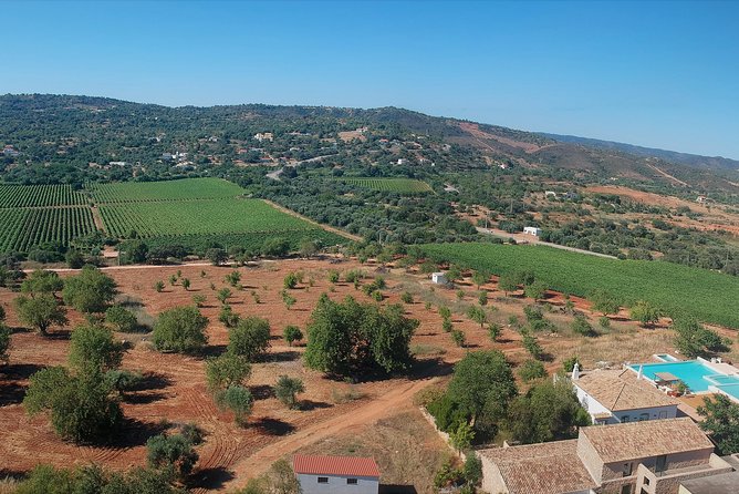 Tour & Wine tasting - Authentic Algarve Flavours by Quinta da Tôr - Bread, olive oil, and Algarve tapas