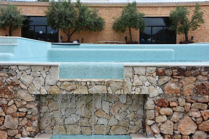 Tour & Wine tasting - Authentic Algarve Flavours by Quinta da Tôr - The infinity pool and mountain views