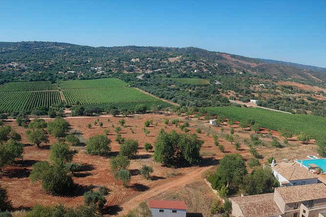 Tour & Wine tasting - Authentic Algarve Flavours by Quinta da Tôr - Four wines with a taste of the Algarve