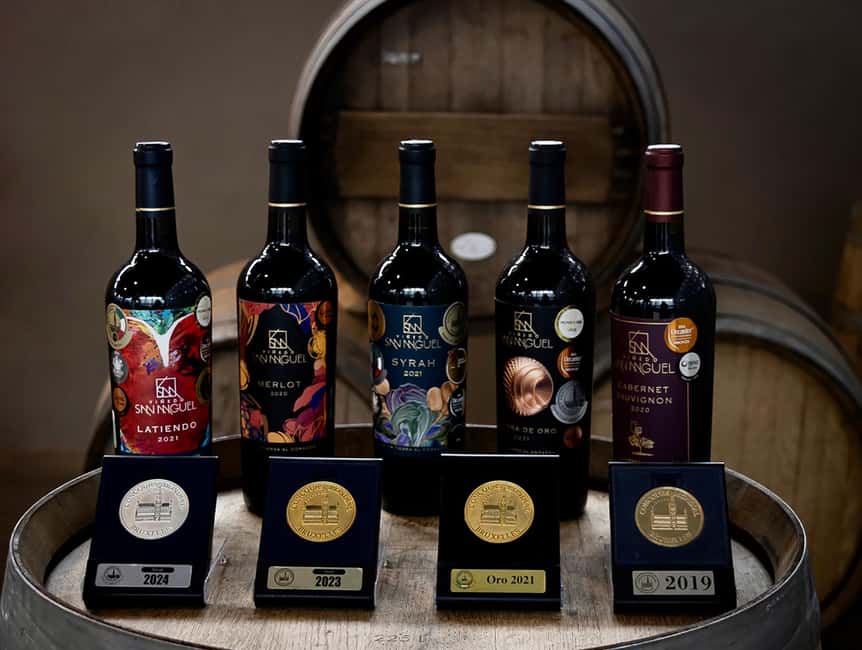 Tour & Wine Tasting San Miguel Vineyard / San Miguel Experience - Below ground in the aging cellar