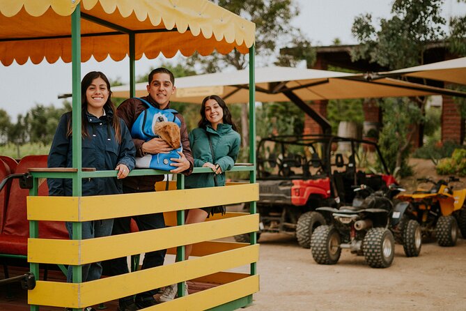 Tractor Pull Around Vineyards and Wine Tasting Tour - Tasting 700 Reales Cabernet Sauvignon and Nebbiolo