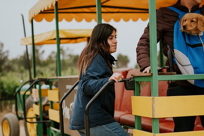 Tractor Pull Around Vineyards and Wine Tasting Tour - Weather and communication deserve attention