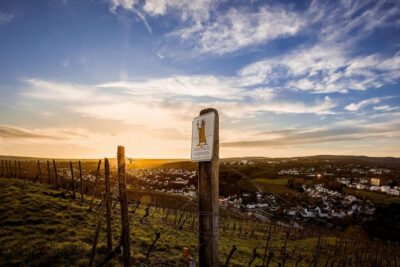 Trier: Discovery Tour – Germany’s Oldest Wine Cellar