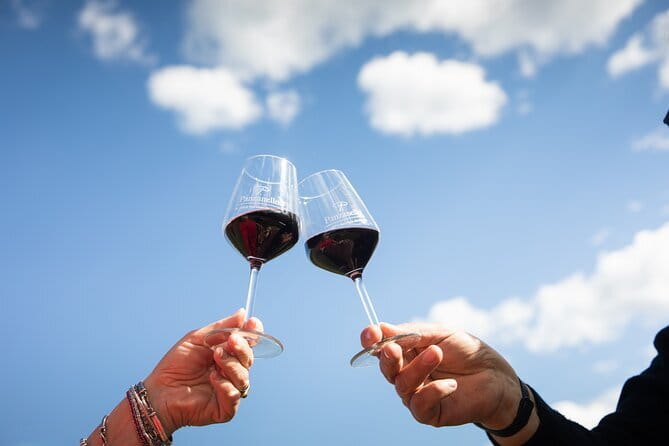 Triumph of Flavors, Winery Tour, Organic Wines in Panzano in Chianti - A Short Introduction to Chianti at Panzanello
