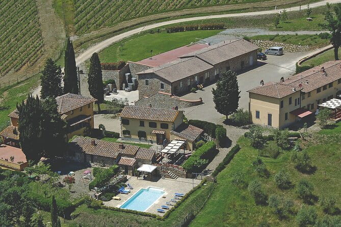 Triumph of Flavors, Winery Tour, Organic Wines in Panzano in Chianti - Andrea’s Personal Style of Guiding
