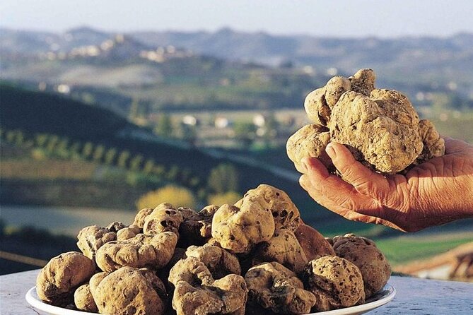 Truffle hunting and lunch experience, with Vinci and winery. - San Miniato’s historic center and Federician fortress