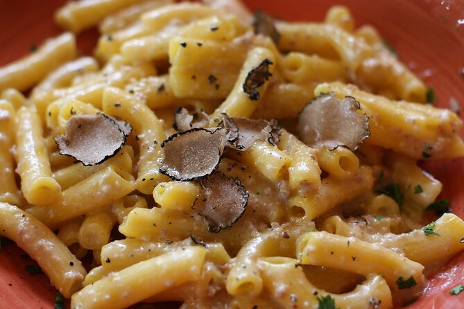 Truffle hunting and lunch experience, with Vinci and winery. - What the $572 price really covers