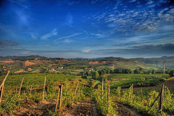 Truffle hunting and lunch experience, with Vinci and winery. - Who will enjoy this day most
