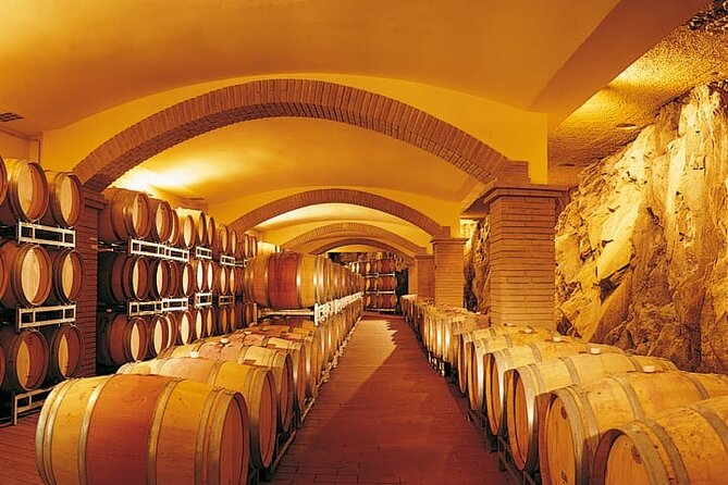 Truffle hunting and lunch experience, with Vinci and winery. - A truffle lunch with crostini and fondue