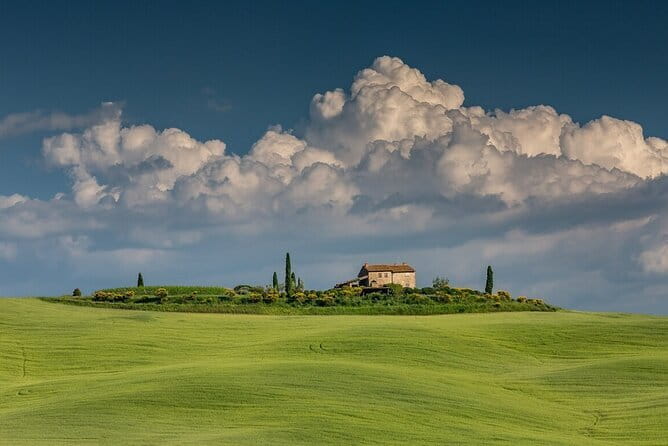 Tuscany Tour Siena - San Gimignano - Winery - San Gimignano: towers, stone lanes, and one hour on foot