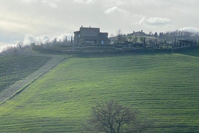 Tuscany Tour Siena - San Gimignano - Winery - Is $816.22 good value for four people?
