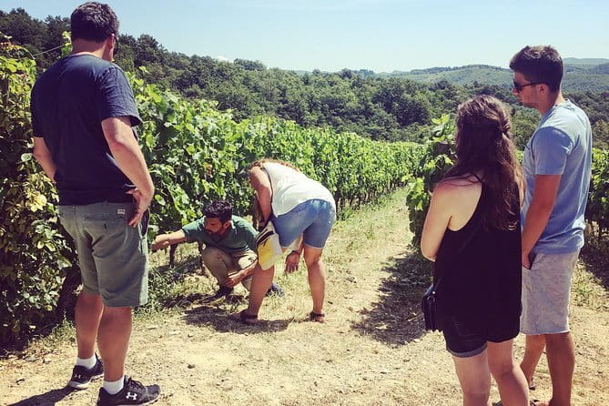 Tuscany Wine Tour: 2 Wineries & Chianti from San Gimignano - Booking, cancellation, and practical details