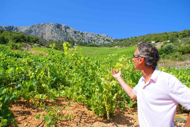 Twice the Wine - Two wineries half day tour, with delicacies - Lacman Family Winery and the hilltop view