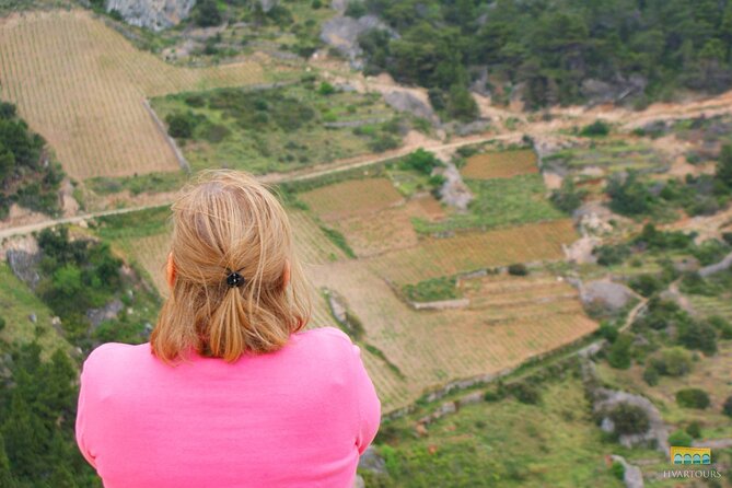Twice the Wine - Two wineries half day tour, with delicacies - What you actually taste and eat