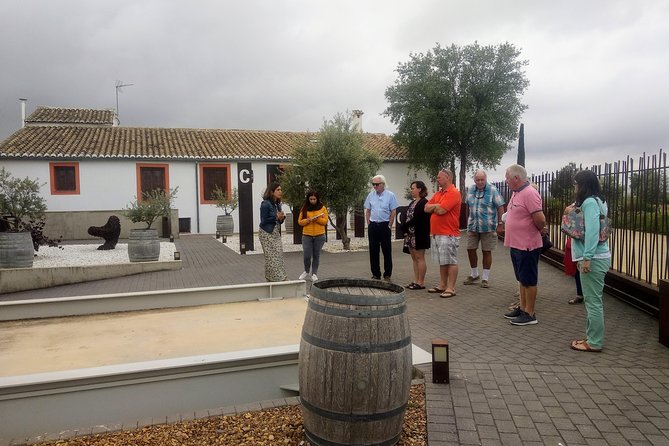 Two wineries tour with wine tasting - The second winery: family methods and a different pace