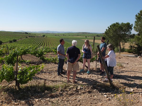 Two wineries tour with wine tasting - What makes this different from a generic tasting