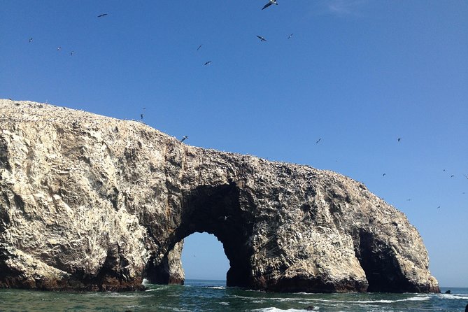 Ultimate Comfort: Lima to Huacachina, Ballestas and Vineyard - The guide can shape a very long day