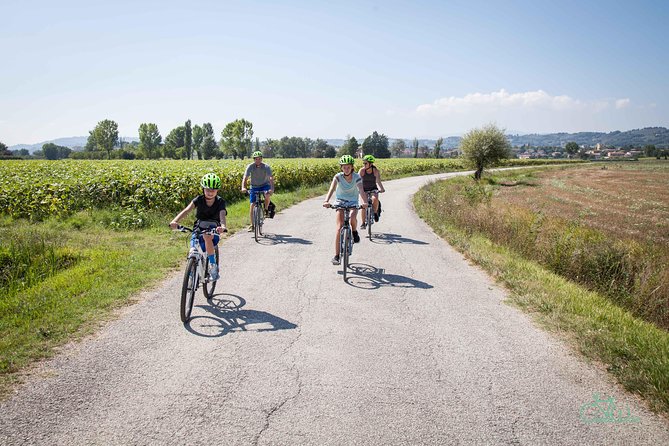 Umbria E-Bike & Wine Tour through Vineyards and Olive Groves - Wine, olive oil country, and lunch at Cantina La Fonte