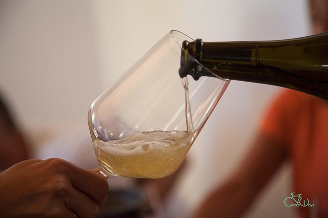 Umbria E-Bike & Wine Tour through Vineyards and Olive Groves - The return ride keeps the day moving