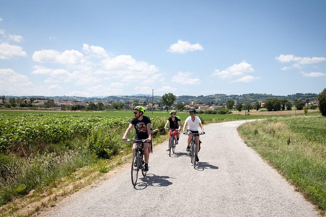 Umbria E-Bike & Wine Tour through Vineyards and Olive Groves - What the $205.16 price really covers
