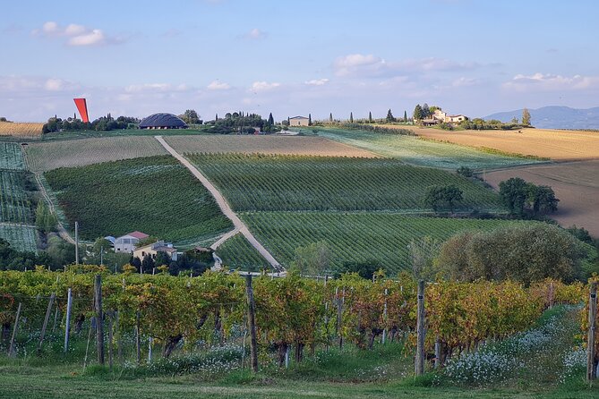 Umbria Wine Lovers: Montefalco & Bevagna with Winery Lunch - Why this is a good way to taste Umbria