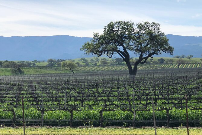 Unique Santa Barbara Wine Country Private Wine Tours and Tastings - Why the private vehicle changes the day