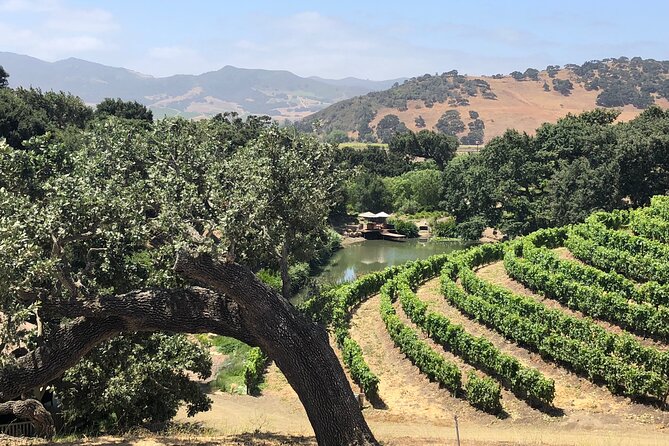 Unique Santa Barbara Wine Country Private Wine Tours and Tastings - Choosing two or three wineries