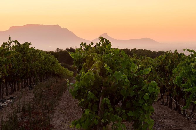 Unique Stellenbosch Winelands Tour with optional 4x4 Wine Drive - Who will enjoy this experience most