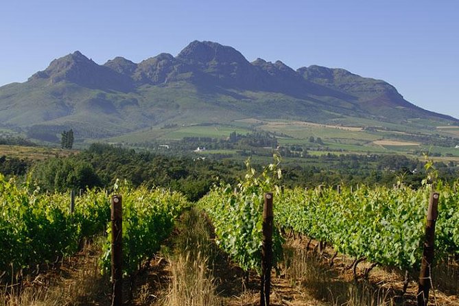 Unique Stellenbosch Winelands Tour with optional 4x4 Wine Drive - Practical details that matter on the day