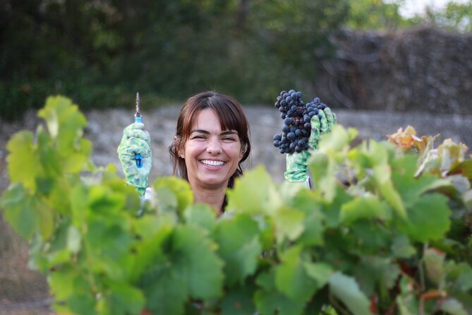 Urban winery tour, premium tasting flight & tapas - What makes Catarina and David central to the visit