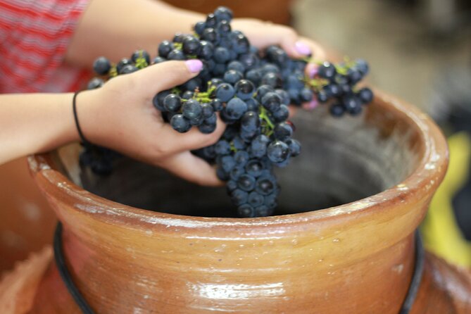 Urban winery tour, premium tasting flight & tapas - Is $59.17 a fair price?