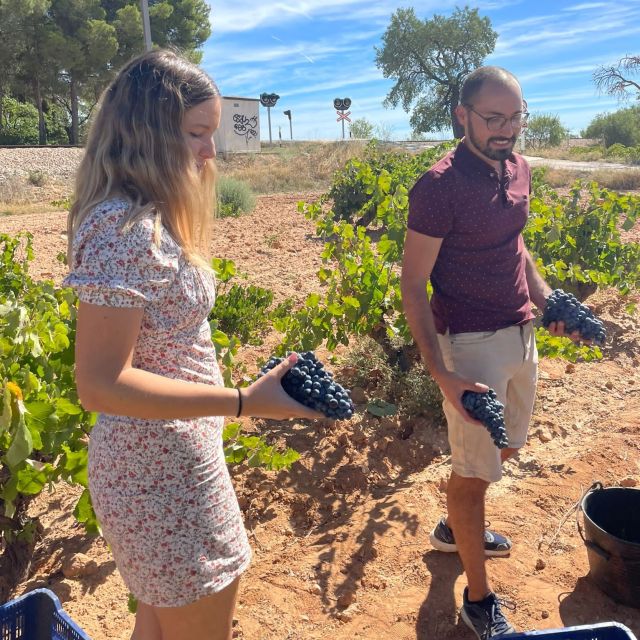Valencia: Utiel-Requena Cave & Winery Day Trip with Tasting - The 45-minute ride from Valencia